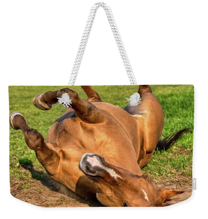 Airey Weekender Tote Bag featuring the photograph Autumn Horses of Uxbridge by Dee Potter