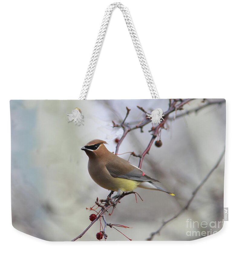 Cedar Waxwing Weekender Tote Bag featuring the photograph Cedar Waxwing #6 by Gary Wing