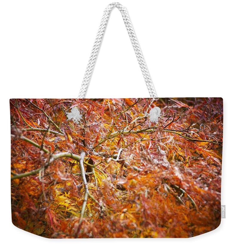 Trees Weekender Tote Bag featuring the photograph Parco Cavour. Ottobre 2016 by Marco Cattaruzzi