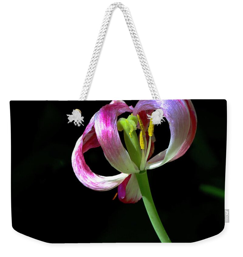 Tulip Weekender Tote Bag featuring the photograph Tulip #6 by Sarah Lilja
