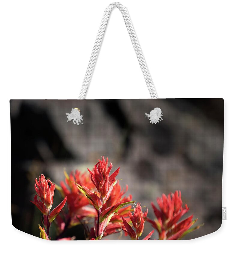  Weekender Tote Bag featuring the photograph Indian Paintbrush #7 by Laura Terriere