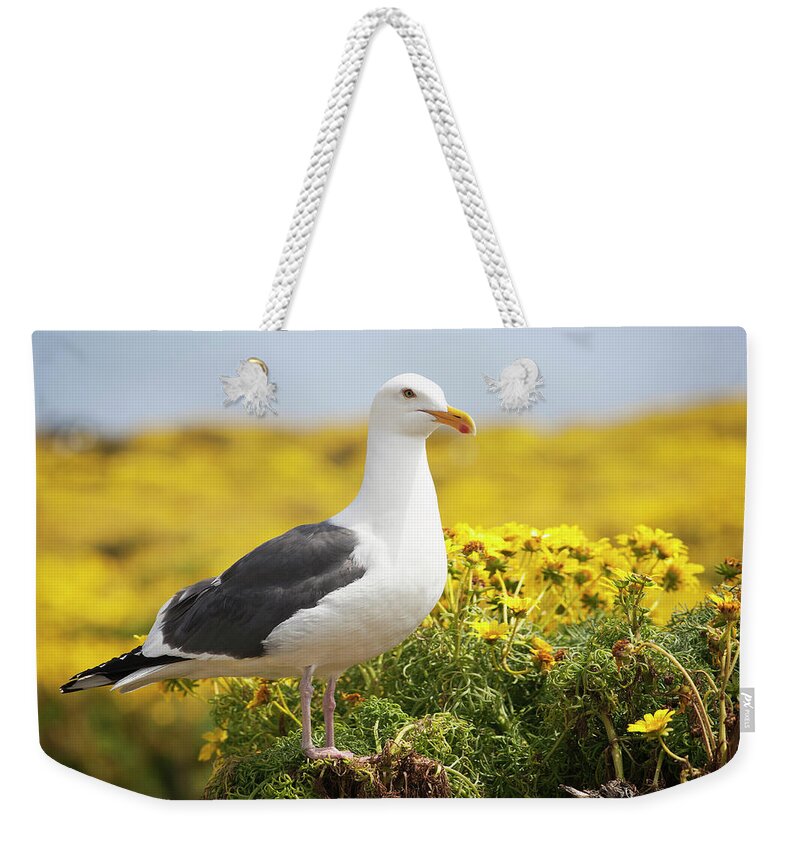 Coastline Weekender Tote Bag featuring the photograph Channel Islands Ca #9 by Joe Palermo