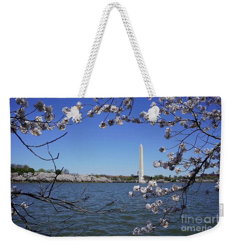  Weekender Tote Bag featuring the photograph Cherry Blossoms Washington DC #8 by Annamaria Frost