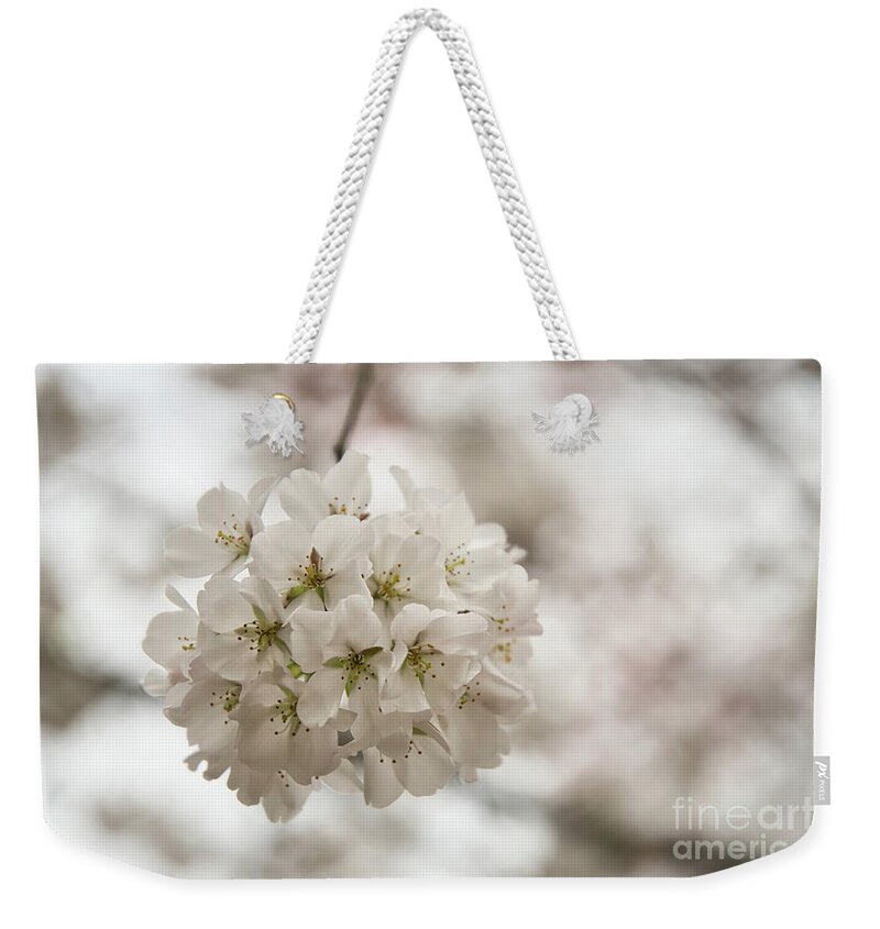 Cherry Blossoms Weekender Tote Bag featuring the photograph A Ball of Blossoms by Amy Dundon