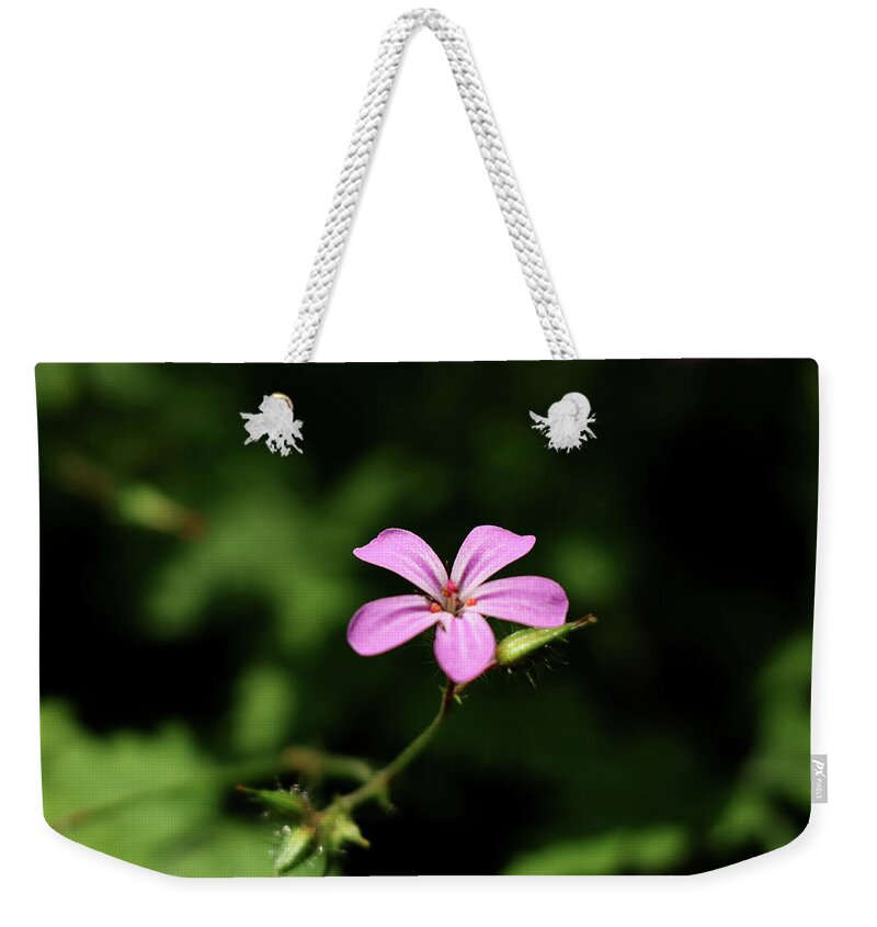 Herb-robert Weekender Tote Bag featuring the photograph Pink bloom of Geranium robertianum by Vaclav Sonnek