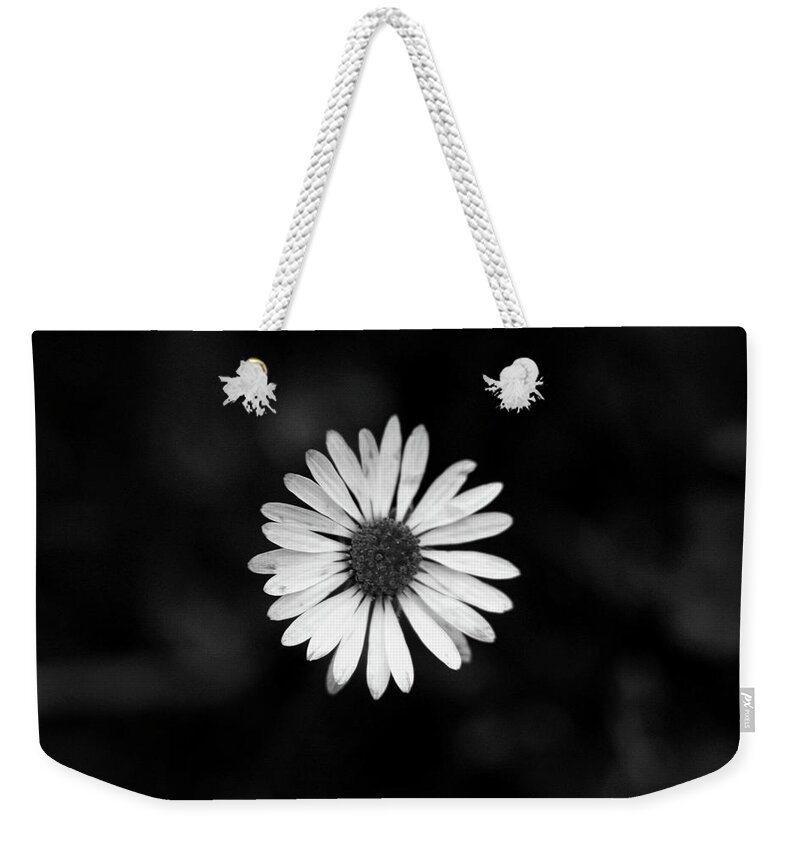 Bellis Perennis Weekender Tote Bag featuring the photograph Black and white bloom of bellis perennis by Vaclav Sonnek