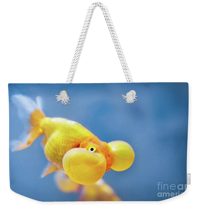 A bubble eye fish goldfish close up Weekender Tote Bag by Luca Lorenzelli -  Fine Art America