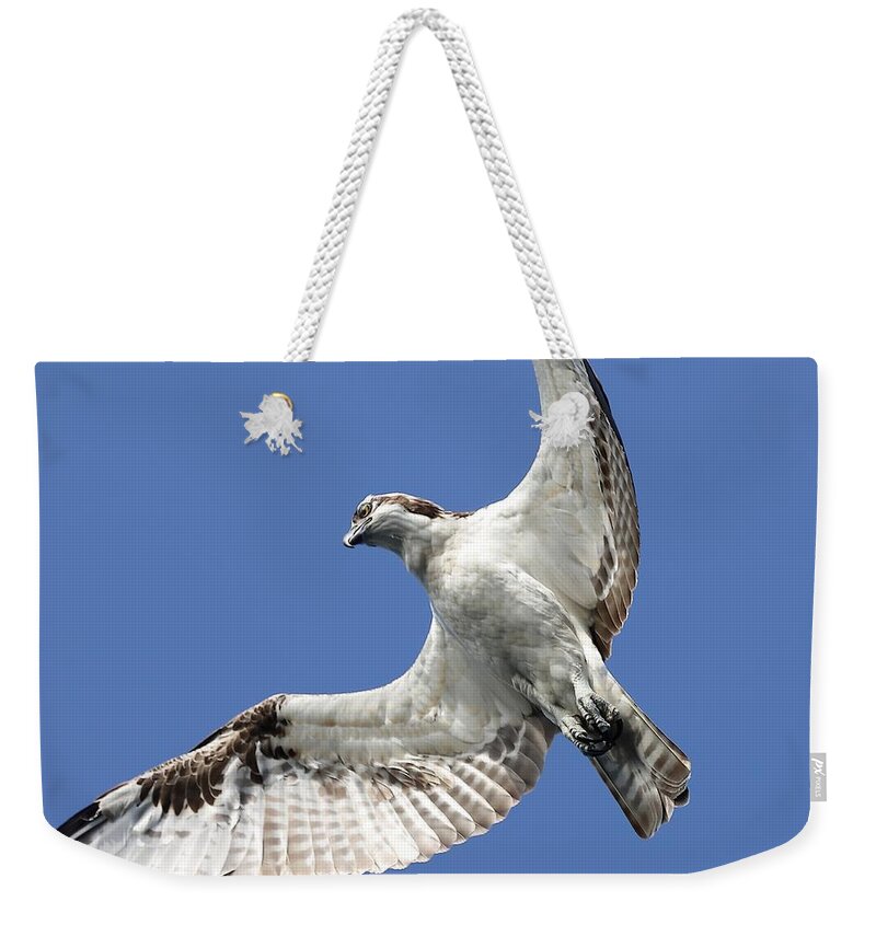 Osprey Weekender Tote Bag featuring the photograph A Close-Up of Osprey by Mingming Jiang