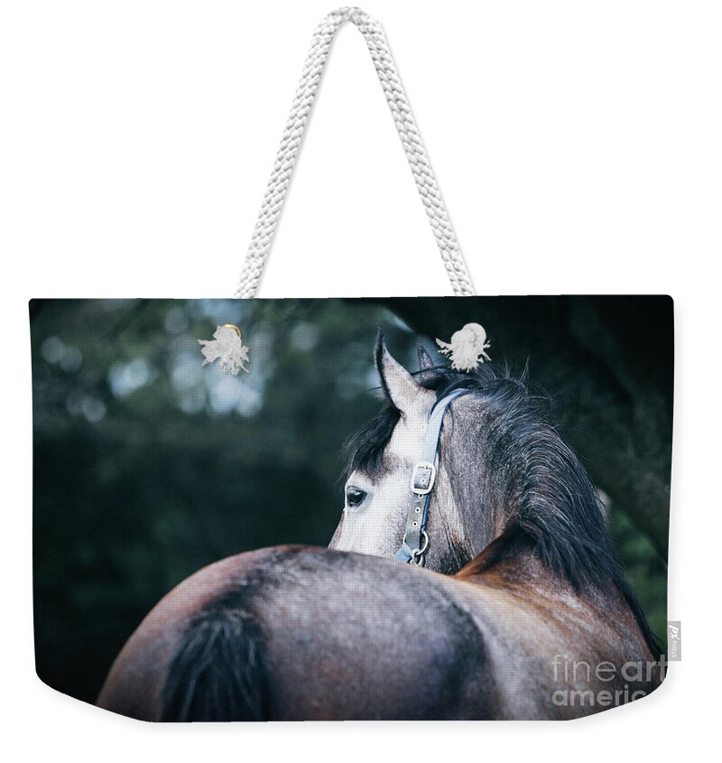 Horse Weekender Tote Bag featuring the photograph A close-up portrait of horse profile in nature by Dimitar Hristov