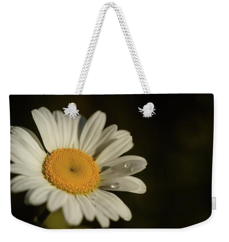 Mcdowell County Weekender Tote Bag featuring the photograph A Daisy by Joni Eskridge