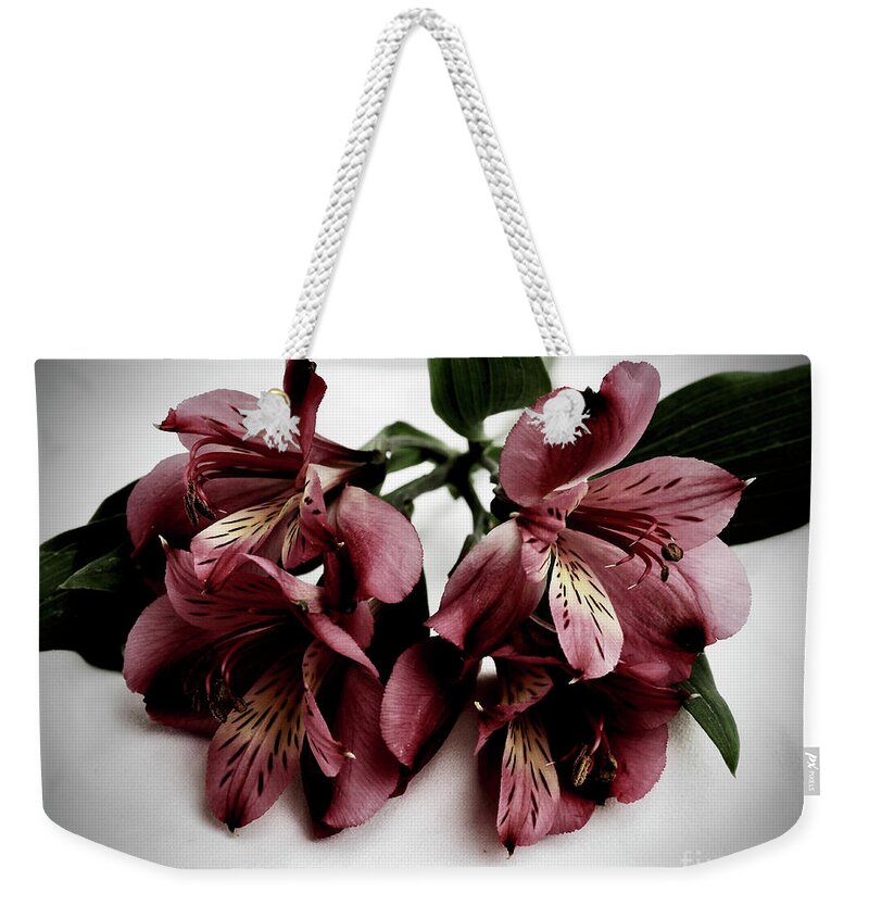 Flowers Weekender Tote Bag featuring the photograph A Dark and Moody Alstroemeria by L Bosco