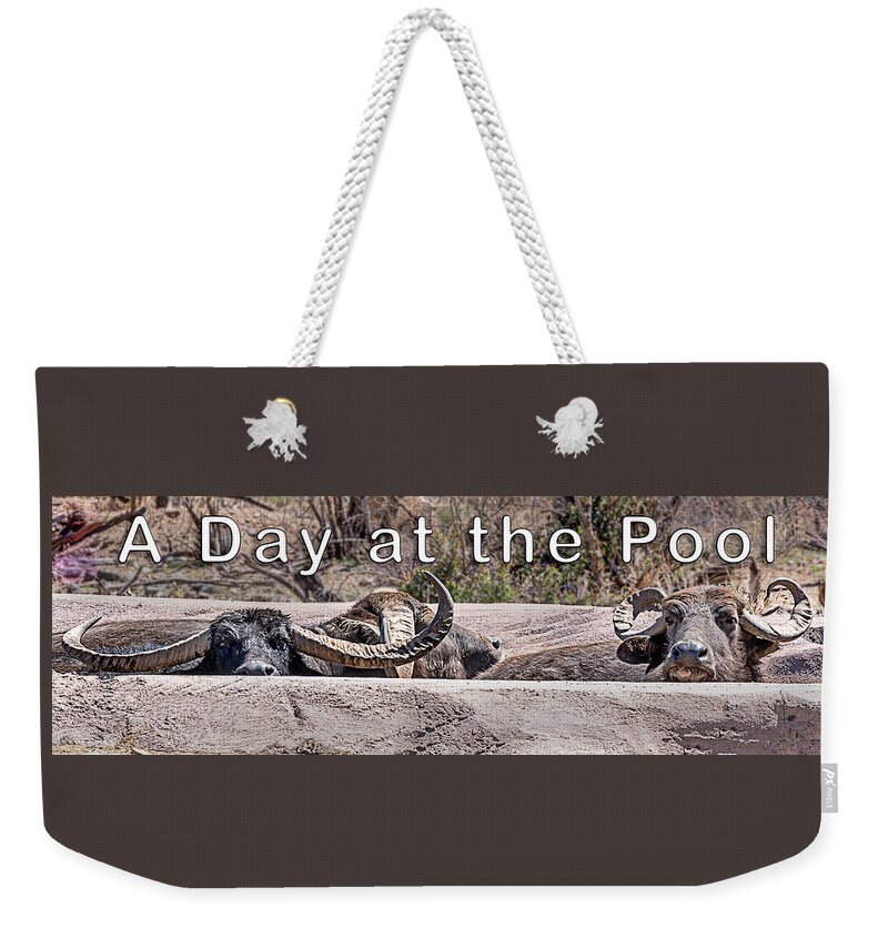  Weekender Tote Bag featuring the photograph A Day at the Pool by Al Judge