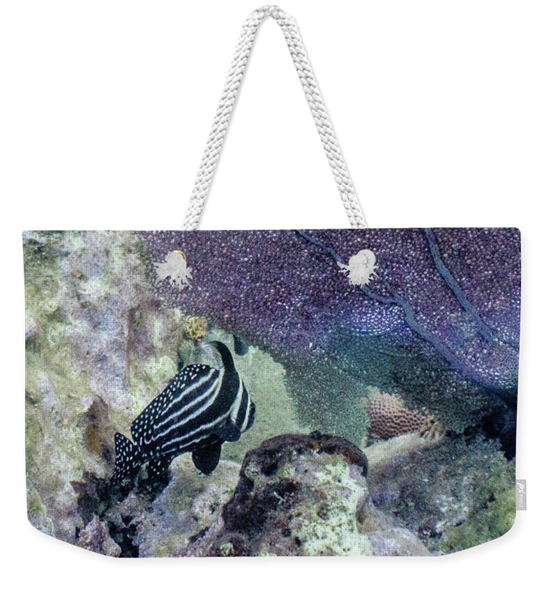 Animals Weekender Tote Bag featuring the photograph A Different Drum by Lynne Browne