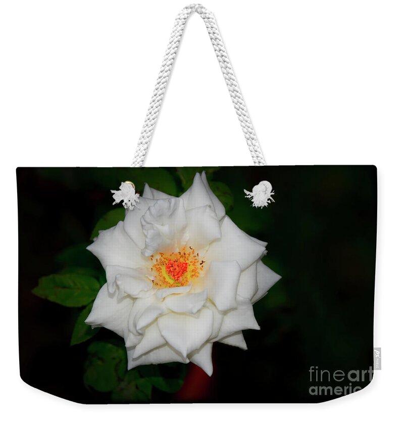 2163e Weekender Tote Bag featuring the photograph A Different White Rose by Al Bourassa
