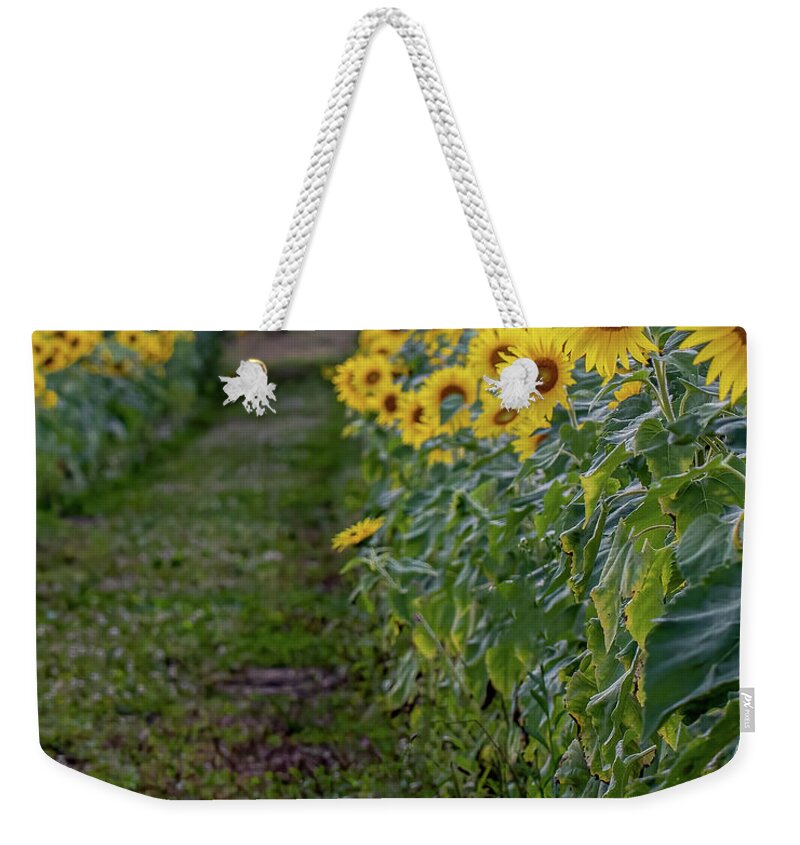 Agriculture Weekender Tote Bag featuring the photograph A far as the eye can see by Brian Shoemaker