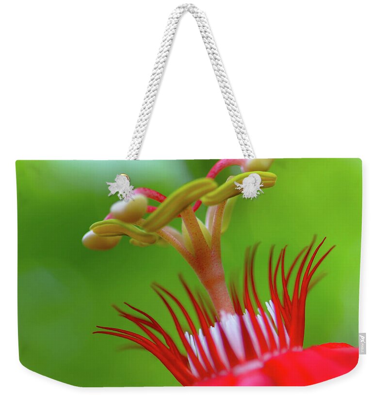 Stamen Weekender Tote Bag featuring the photograph A Flower's Eyelashes by Debra Kewley