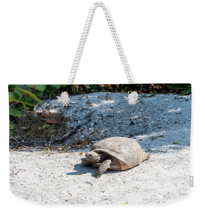Florida Weekender Tote Bag featuring the photograph A Gopher Tortoise roams from its mound at Lovers Key State Park by William Kuta