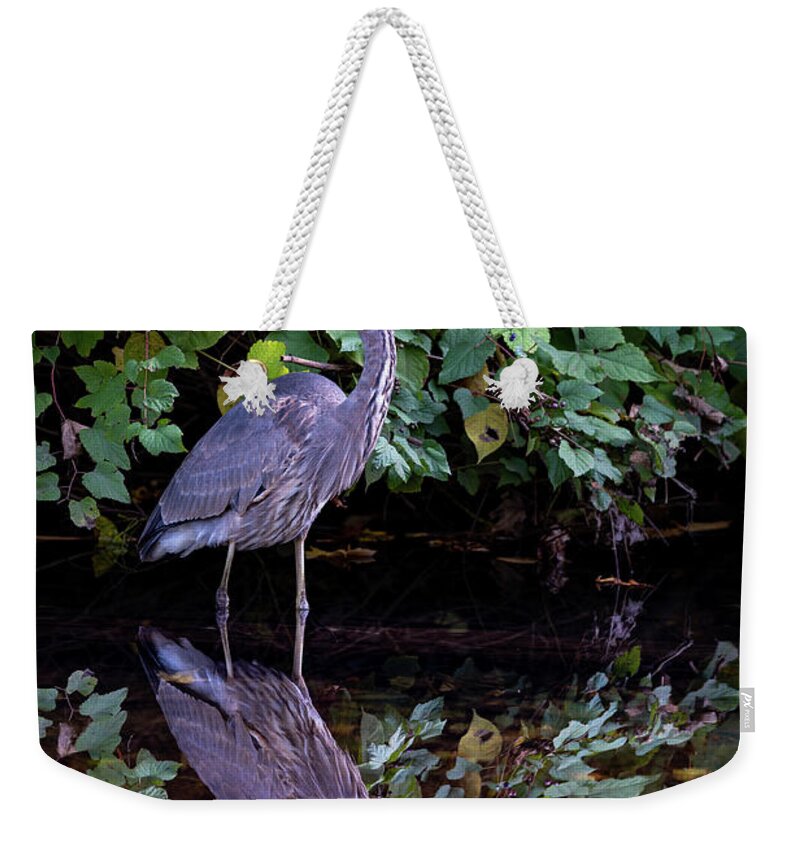 Bronx River Weekender Tote Bag featuring the photograph A Great Blue Heron and Its reflection in the Bronx River by Kevin Suttlehan