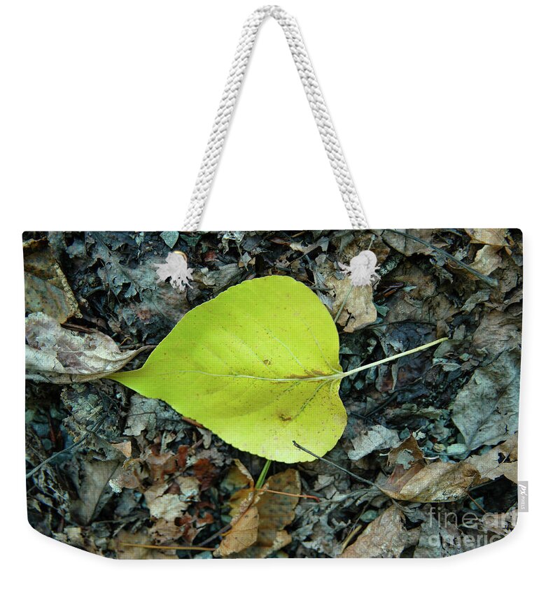 Leaf Weekender Tote Bag featuring the photograph A Leaf On The Ground by Jeff Swan