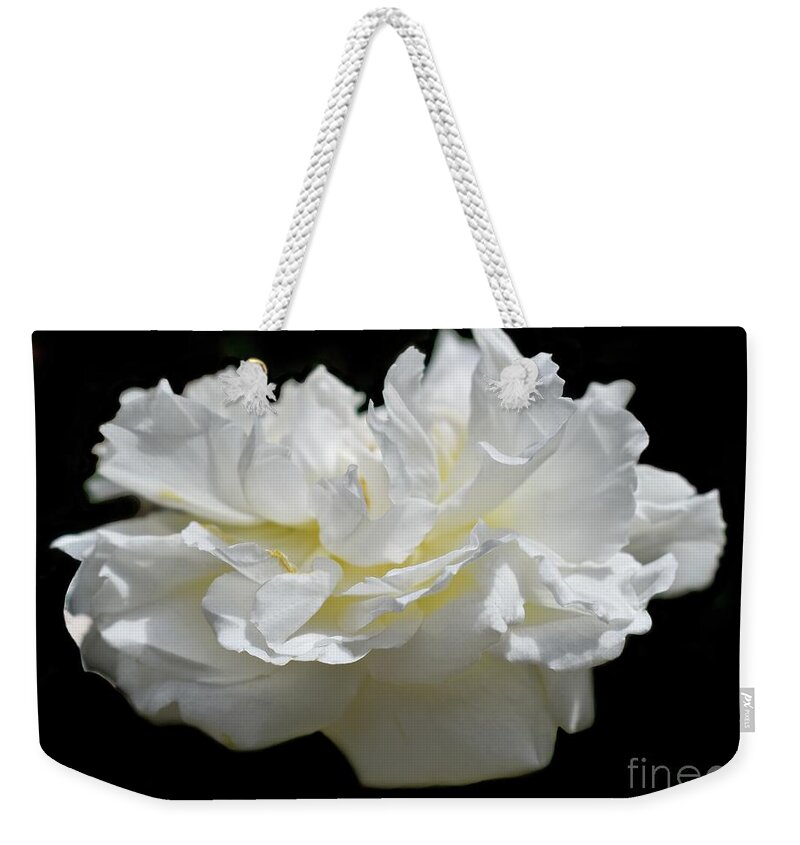 Rose Weekender Tote Bag featuring the photograph A Life Of One English Rose 2 by Leonida Arte