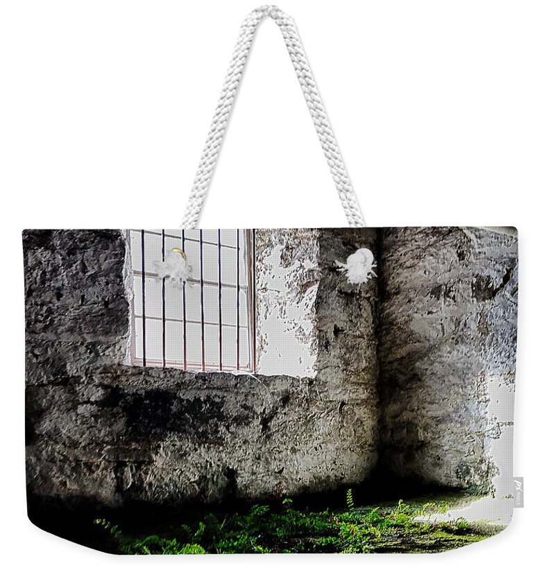  Weekender Tote Bag featuring the photograph A little greenery by Stephen Dorton