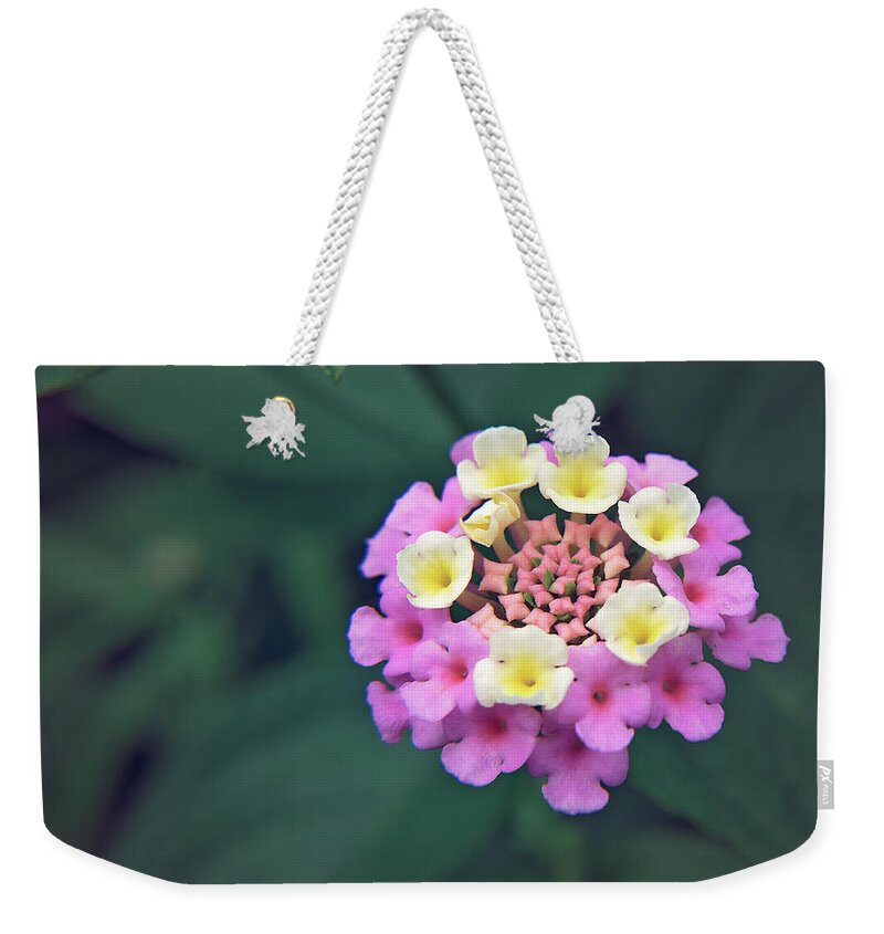 Flower Weekender Tote Bag featuring the photograph A lot going on by Stacy Abbott