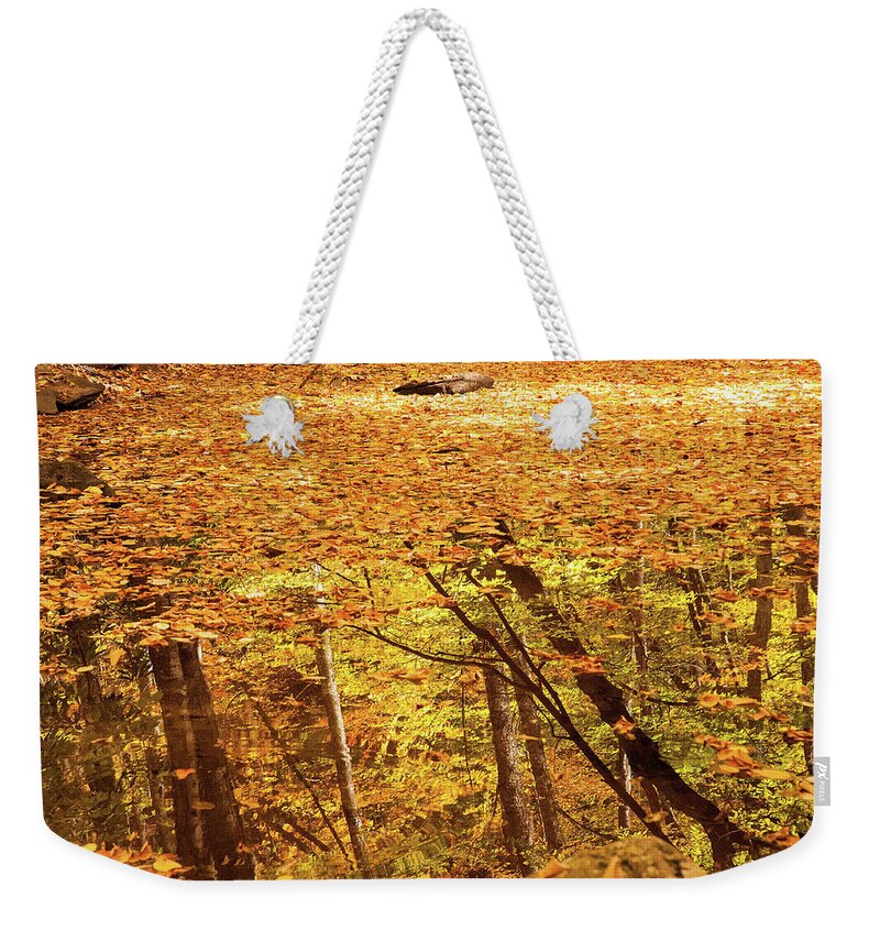 West Virginia Weekender Tote Bag featuring the photograph A Mirrorful of Leaves by Steve Stuller
