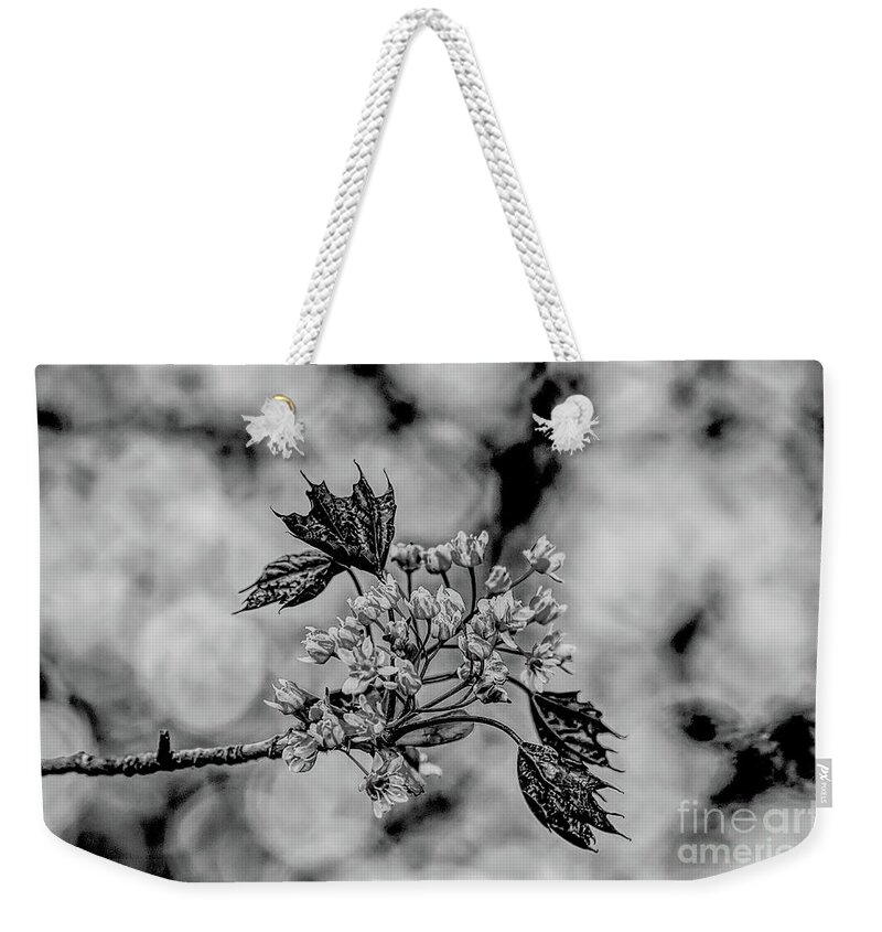 Digital Art Weekender Tote Bag featuring the photograph A monochrome Red Maple bloom by Pics By Tony
