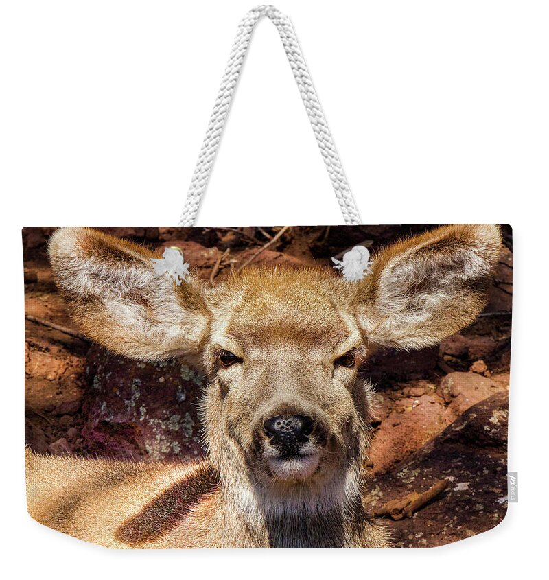 Deer Weekender Tote Bag featuring the photograph A Mule Deer by Laura Putman
