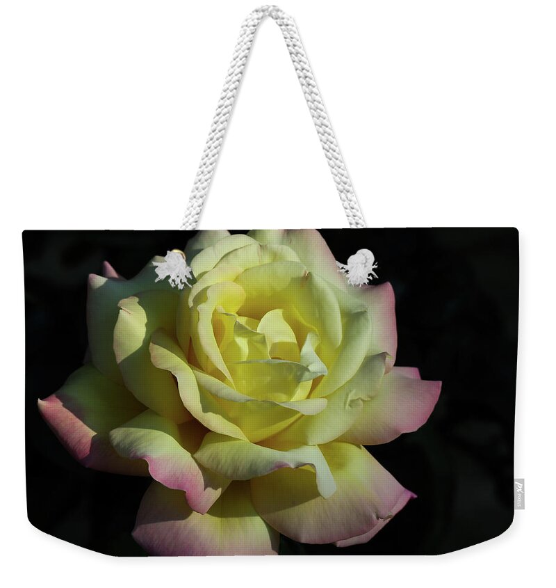 Rose Weekender Tote Bag featuring the photograph A Peaceful Rose Invitation by D Lee