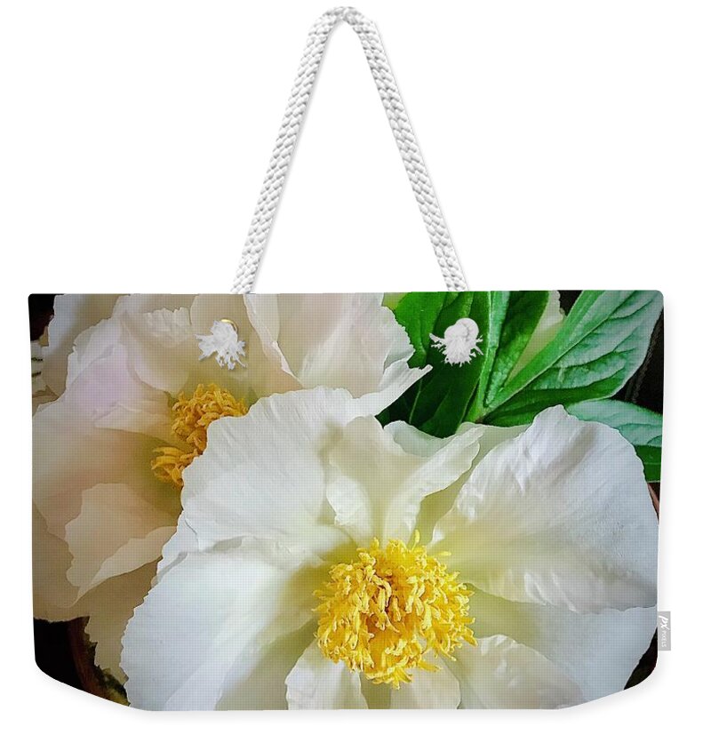 Peonies Weekender Tote Bag featuring the photograph A Plate Full Of Peonies by Alida M Haslett