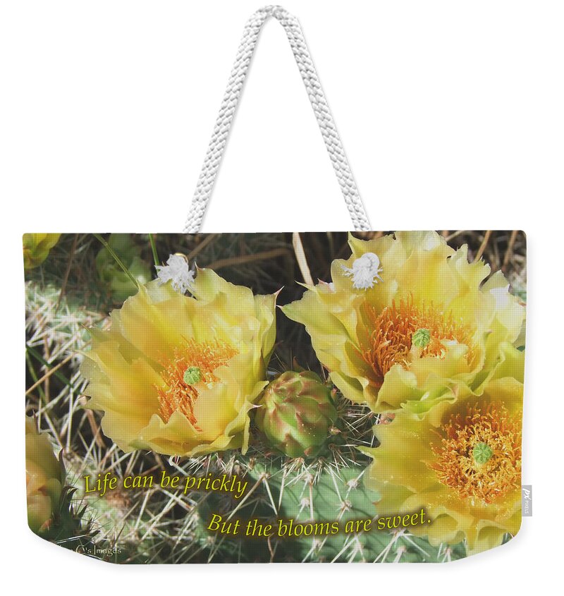 Cactus Weekender Tote Bag featuring the mixed media A Prickly Life by Kae Cheatham