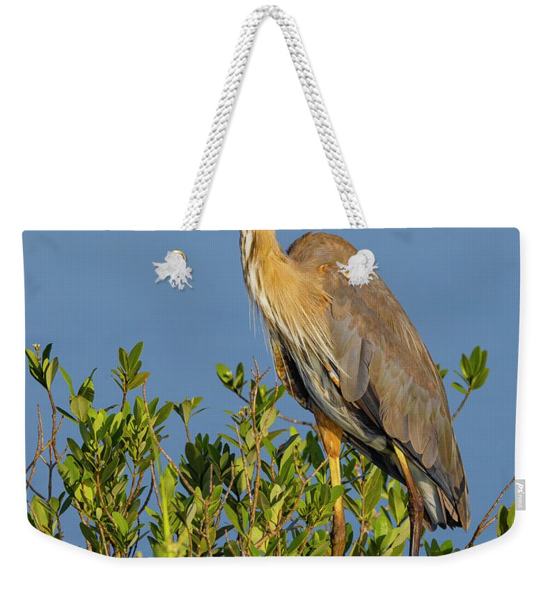 R5-2653 Weekender Tote Bag featuring the photograph A Proud Heron by Gordon Elwell