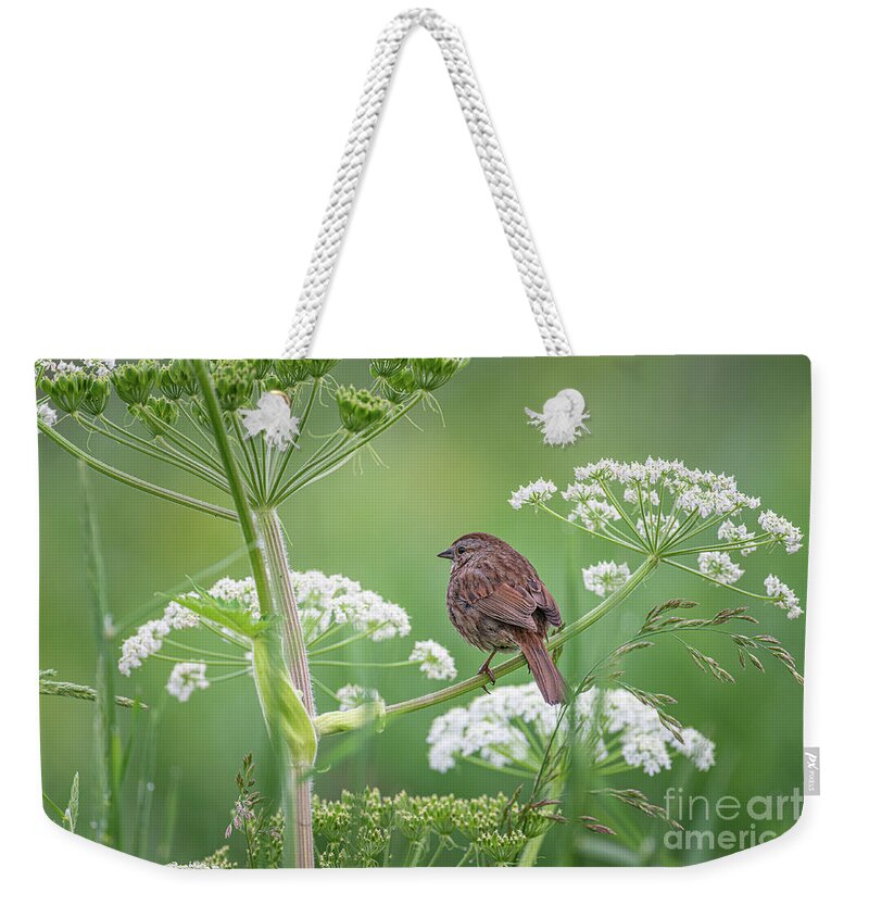 Bird Weekender Tote Bag featuring the photograph A Quiet Moment by Craig Leaper