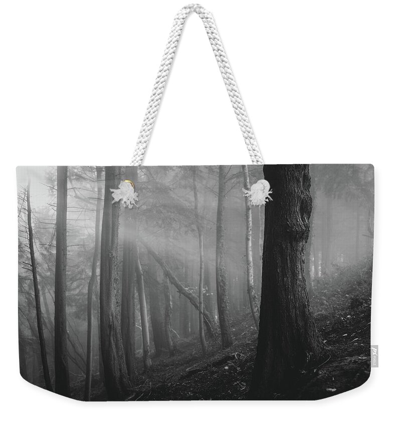 Forest Weekender Tote Bag featuring the photograph A ray of light by Gavin Lewis