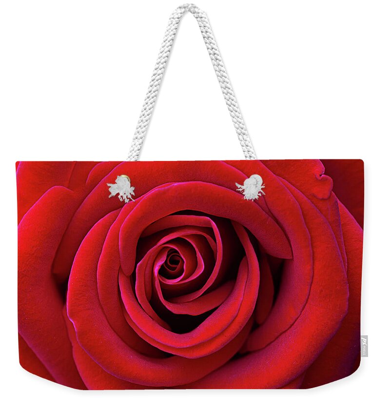 Red Rose Weekender Tote Bag featuring the photograph A Red Rose for You by Vanessa Thomas