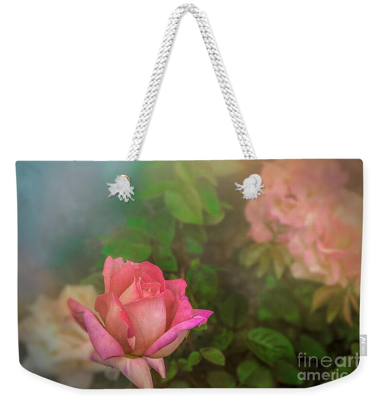 Rose Weekender Tote Bag featuring the photograph A Rose for Mother by Shelia Hunt
