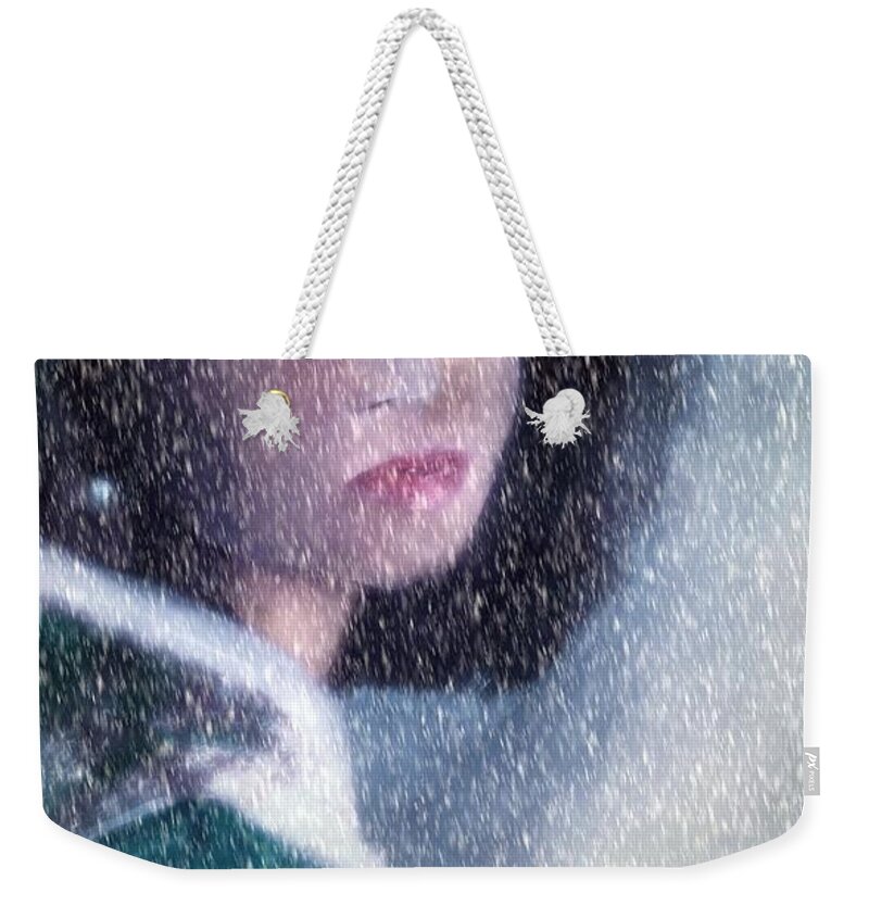 Soft Weekender Tote Bag featuring the painting A Sad Gaze In The Snow by Lisa Kaiser