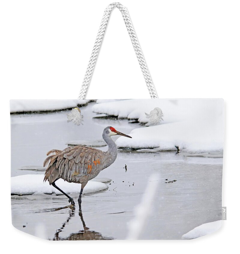 Sandhill Crane Weekender Tote Bag featuring the photograph A Sandhill Crane in Michigan Winter by Shixing Wen