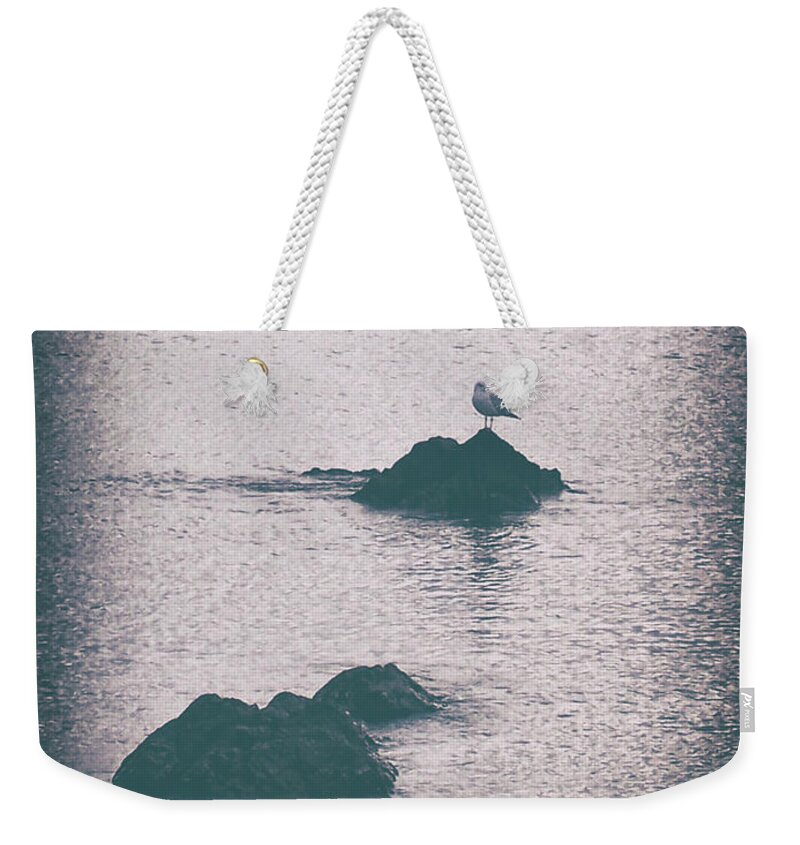 Vintage Weekender Tote Bag featuring the photograph A Seagull Rests by Phil Perkins