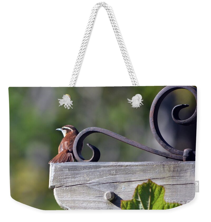 Wren Weekender Tote Bag featuring the photograph A Seat with a View by Dianne Morgado