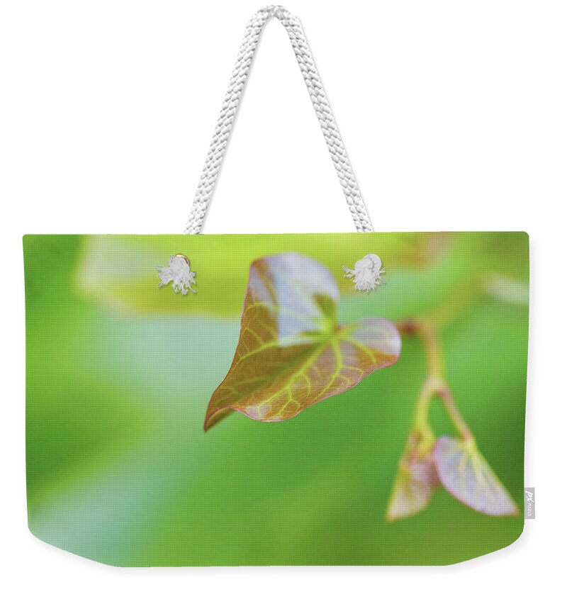 Green Weekender Tote Bag featuring the photograph A Simple Leaf by Amelia Pearn