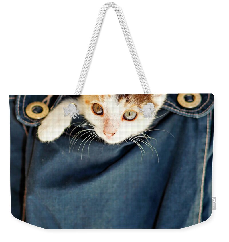Cat Weekender Tote Bag featuring the photograph A small kitty inside a pocket by Constantinos Iliopoulos