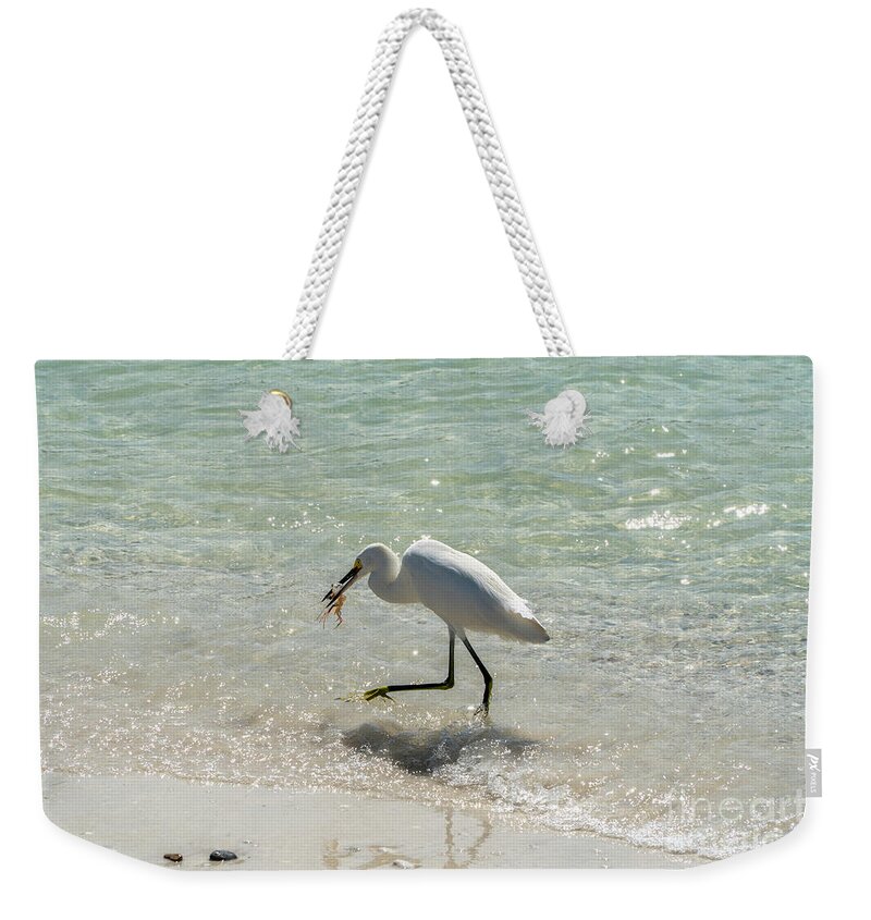 Barefoot Beach Weekender Tote Bag featuring the photograph A Snowy Egret feeds on a shrimp along Wiggins Pass at Barefoot B by William Kuta