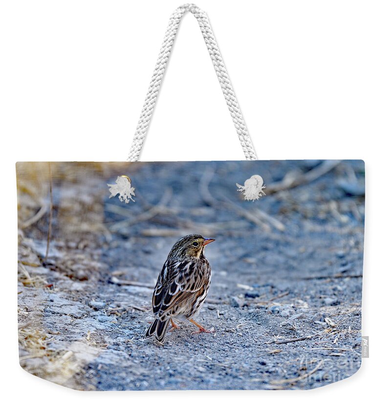 Passer Domesticus Weekender Tote Bag featuring the photograph A Sparrow by Amazing Action Photo Video