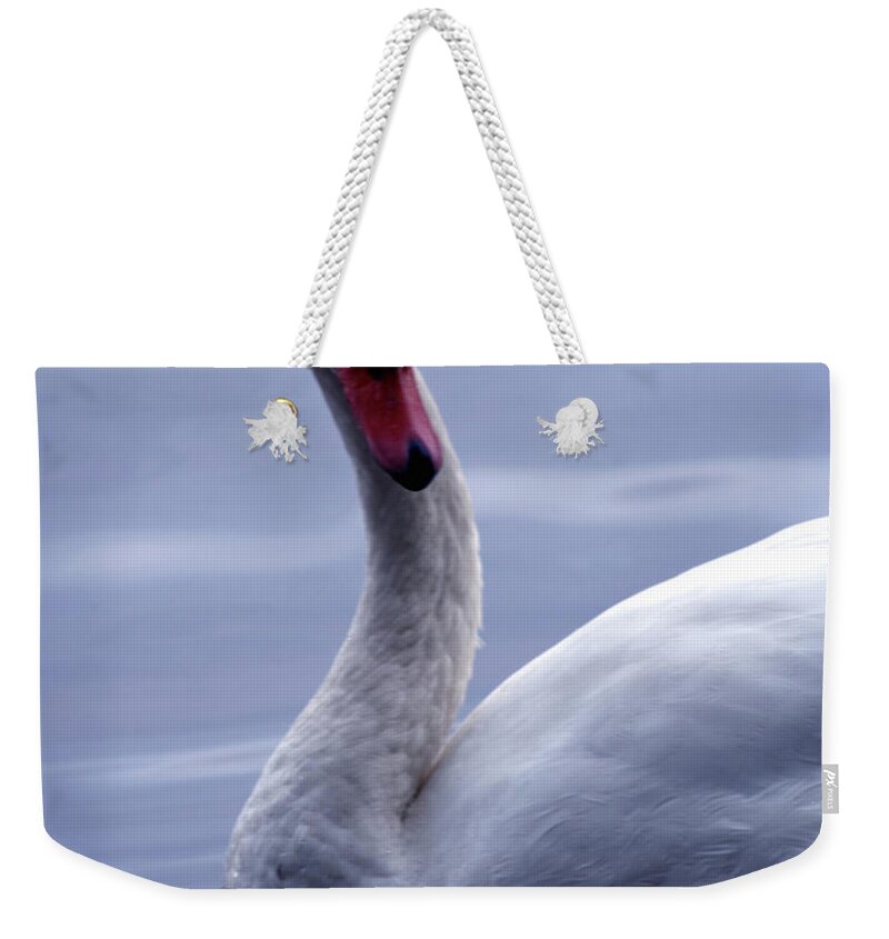 Bird Weekender Tote Bag featuring the photograph A Swan by Jim Feldman