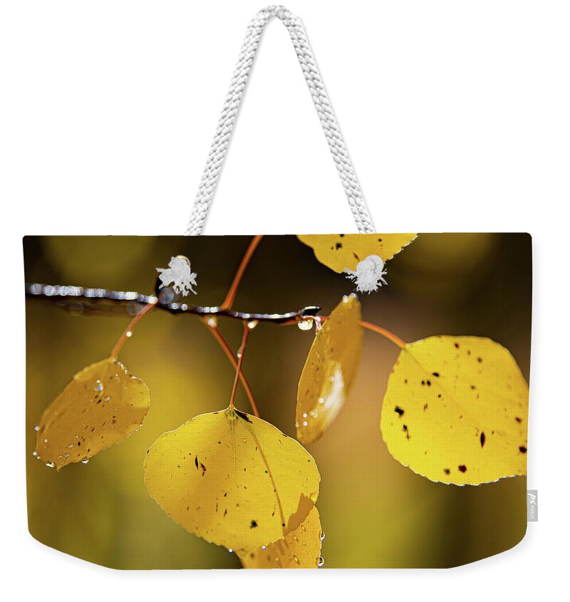 Colorado Weekender Tote Bag featuring the photograph A Symbol of Fall by David Downs