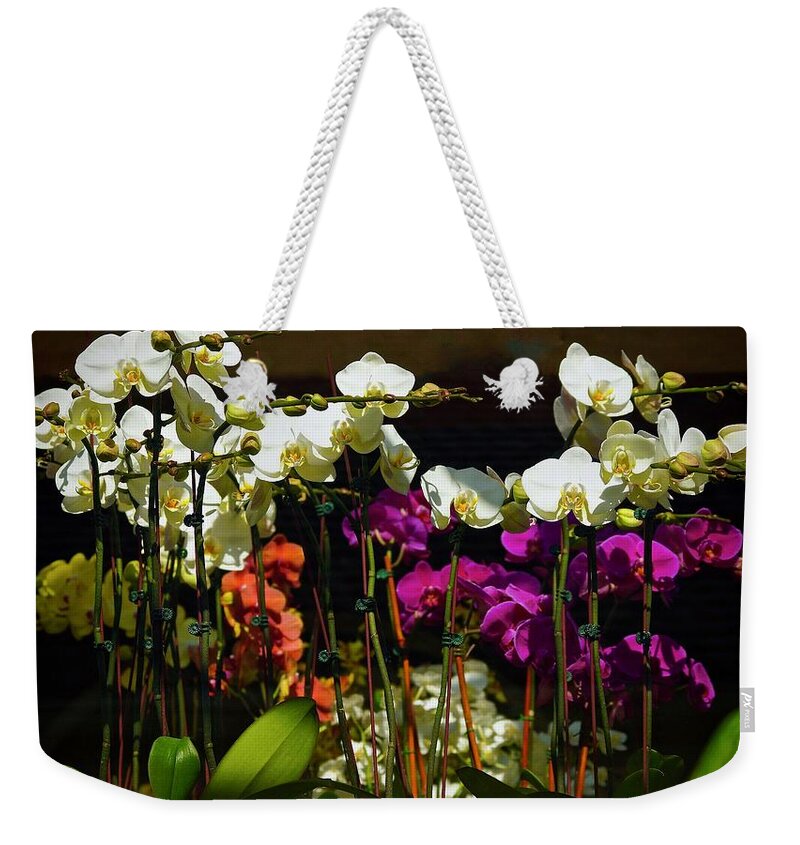 Orchids Weekender Tote Bag featuring the photograph A Time For Beauty by Ira Shander