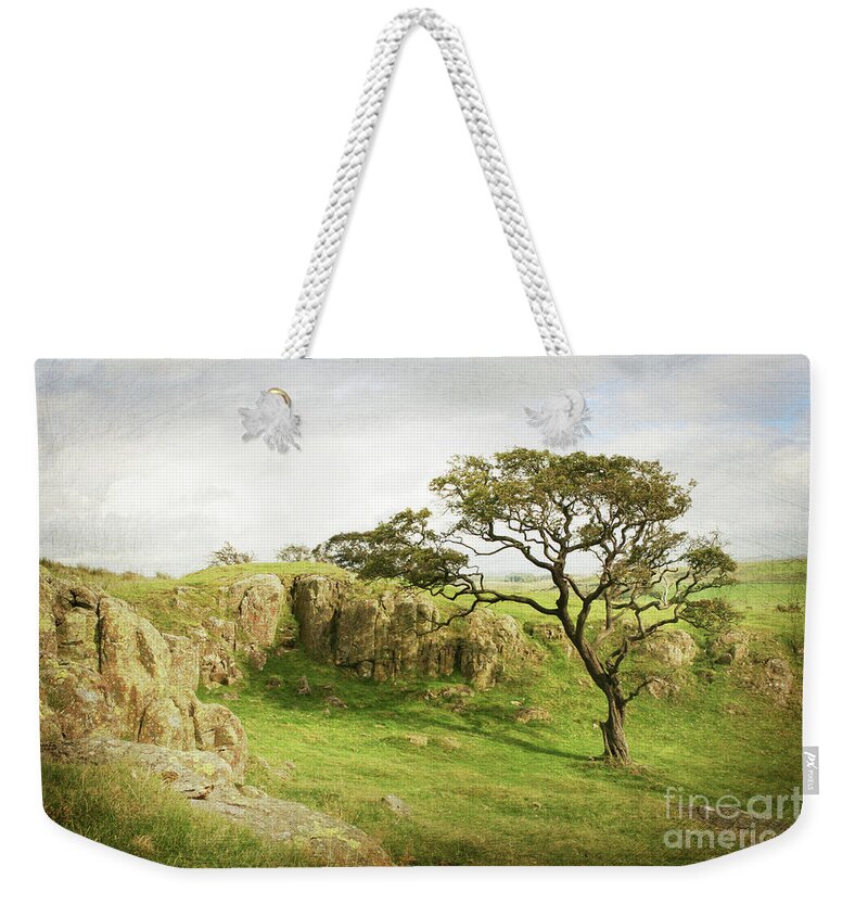 Landscape; Scotland; Scottish; Tree; Hadrian's Wall; Clouds; Lone Tree; Green; Painting; Moody; Weekender Tote Bag featuring the photograph A Tree Grows in Scotland by Tina Uihlein