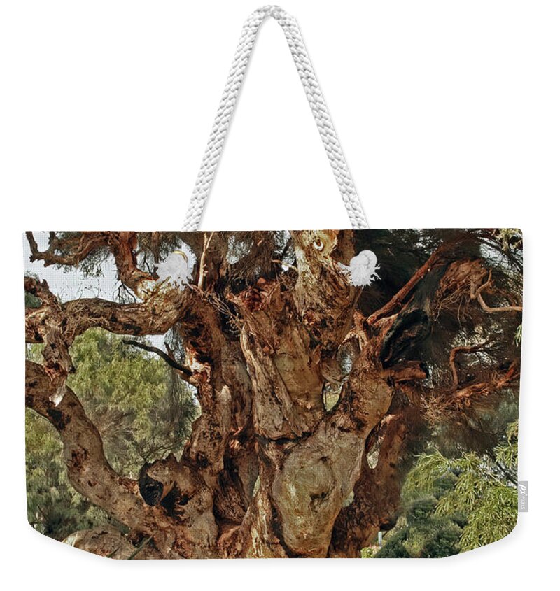  Tree Weekender Tote Bag featuring the photograph A Tree in Denmark, Western Australia by Elaine Teague